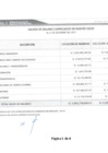 Vista preliminar de documento Saldos de Balance 2017