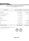 Vista preliminar de documento Saldos de Balance 2015