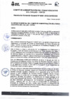 Vista preliminar de documento RGG N° 0055-2023-CAFED-GG
