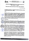 Vista preliminar de documento RGG N° 0053-2023-CAFED-GG