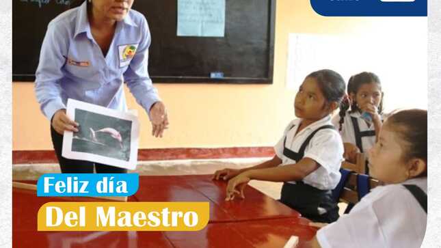 maestro