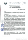 Vista preliminar de documento RD DE HSJD PISCO 2024 (1)