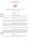 Vista preliminar de documento RD Nº001060 06-03-2023