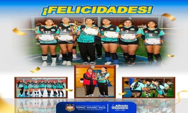 voley