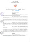 Vista preliminar de documento RD Nº001065 06-03-2023