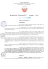 Vista preliminar de documento RD Nº001067 06-03-2023