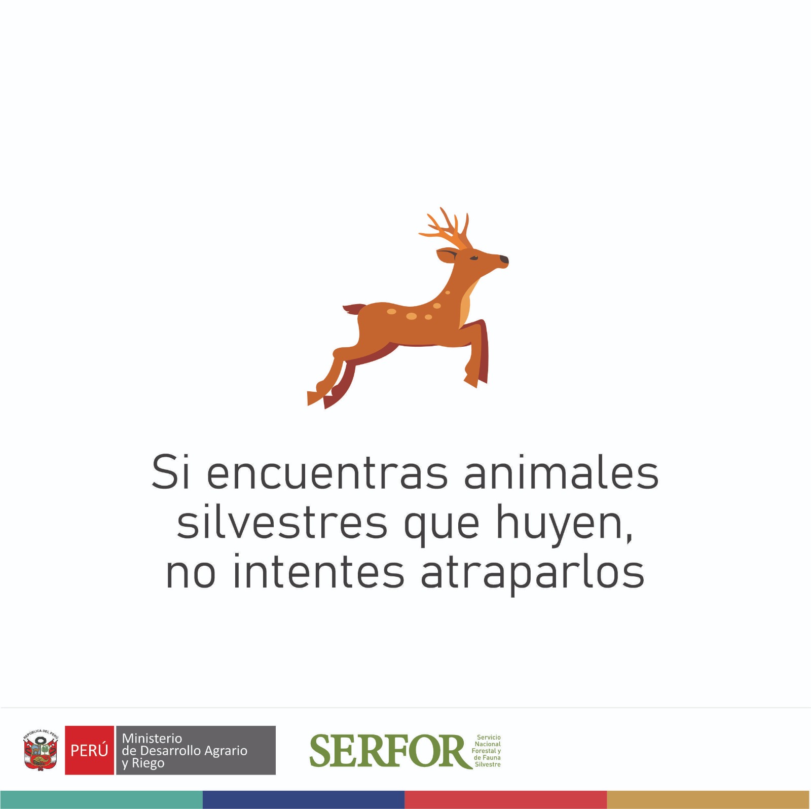 ๐ El Servicio Nacional Forestal y de Fauna Silvestre (Serfor) รncash y la Municipalidad Provincial de Sihuas, te recuerdan:
๐ฃSi te encuentras en medio de un incendio forestal, es fundamental no intentar apagar el fuego si no tienes el entrenamiento, herramientas y equipos adecuados. Los incendios forestales pueden ser extremadamente peligrosos y difรญciles de controlar sin la experiencia y el equipo especializado necesario.
Ademรกs, si encuentras animales salvajes que podrรญan estar huyendo del fuego, no intentes atraparlos ni acercarte a ellos; estos animales pueden estar desorientados y actuar de manera impredecible, representando un riesgo tanto para ellos como para ti.
ยกTu prioridad debe ser siempre tu seguridad y la de quienes te rodean!
ยก๐
๐ช๐ฃ๐ฉ๐ค๐จ ๐๐ซ๐๐ฉ๐๐ข๐ค๐จ ๐ก๐ค๐จ ๐๐ฃ๐๐๐ฃ๐๐๐ค๐จ ๐๐ค๐ง๐๐จ๐ฉ๐๐ก๐๐จ!