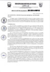 Vista preliminar de documento r267