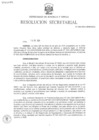 Vista preliminar de documento RS- N° 038-2024-MINEM-SG