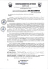 Vista preliminar de documento r294