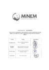 Vista preliminar de documento DIRECTIVA N° 006-2024-MINEM-SG
