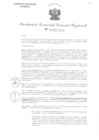Vista preliminar de documento RGGR 384-2024