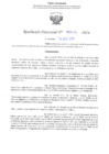 Vista preliminar de documento RD N° 435