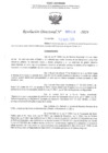 Vista preliminar de documento RD N° 438