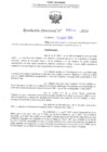 Vista preliminar de documento RD N° 444