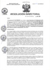 Vista preliminar de documento R.D N° 252-2024-HMA-DG