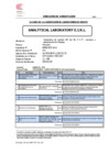 Vista preliminar de documento 5. Analitycal Arequipa - Precision - 2025-05-20