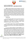 Vista preliminar de documento RD Nº D000124-2024-DE