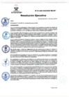 Vista preliminar de documento RE Nº 39 - 2024-OEAINSM-HD-HN
