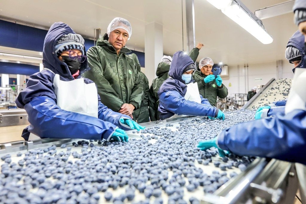 Ministro Angel Manero lideró recorrido a campos frutícolas y plantas donde se procesan productos destinados a la agroexportación.