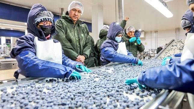 Ministro Angel Manero lideró recorrido a campos frutícolas y plantas donde se procesan productos destinados a la agroexportación.