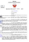 Vista preliminar de documento Resolucion Directoral N° 004598-2024