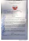 Vista preliminar de documento R.D 0498-2022