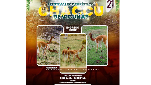 Primer Festival Ecoturístico Chaccu de Vicuñas 2024