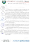 Vista preliminar de documento RESOLUCION DE ALCALDIA 100-2020-MPA-A
