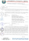 Vista preliminar de documento RESOLUCION DE ALCALDIA 103-2020-MPA-A
