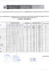 Vista preliminar de documento Resultado Preliminar 