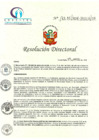Vista preliminar de documento RD N° 173-05-2018-HCLLH-SA