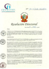 Vista preliminar de documento RD N° 175-05-2018-HCLLH-SA