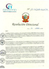 Vista preliminar de documento RD N° 177-05-2018-HCLLH-SA