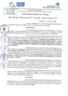 Vista preliminar de documento RD N 0636