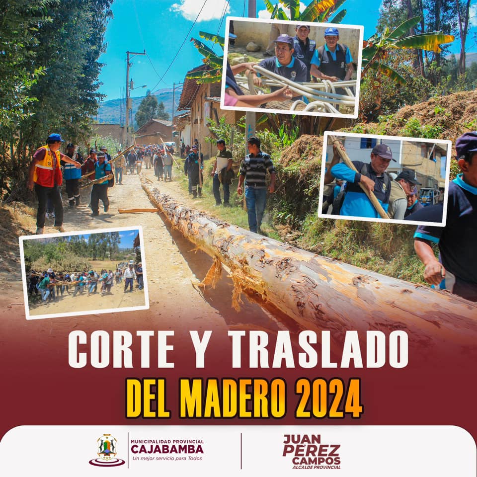 Corte y traslado del madero 2024