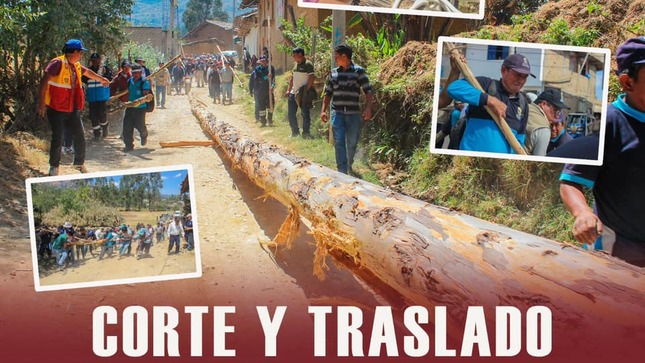 Corte y traslado del madero 2024