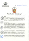 Vista preliminar de documento RD N°258-08-2024-DE-HCLLH-MINSA