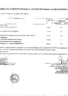 Vista preliminar de documento Anexo 06 - Aprobación de Modificación al N° 0427