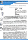 Vista preliminar de documento RA N 254_2024 QR