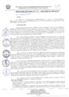 Vista preliminar de documento RESOLUCION JEFATURAL N° 263-2024-GORE-ICA-PETACC-JP