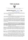 Vista preliminar de documento RD N° 462