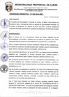 Vista preliminar de documento 9. ORDENANZA N°009-2024-MPL