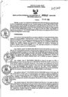 Vista preliminar de documento RGSR_2024_857