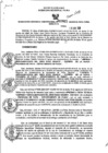 Vista preliminar de documento RGSR_2024_865