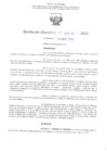 Vista preliminar de documento RD N° 477