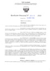 Vista preliminar de documento RD N° 478