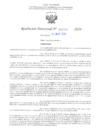 Vista preliminar de documento RD N° 480