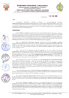Vista preliminar de documento R.D.R.S N° 01