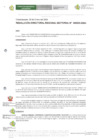 Vista preliminar de documento R.D.R.S N° 03